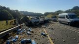 Multi Vehicle Collision | Shelly Beach