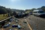 Multi Vehicle Collision | Shelly Beach