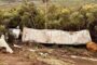 Truck rolls down the N2 Sir Lowrys Pass, Gordons Bay