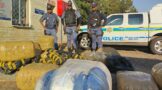 Weekend Operation Shanela II continues to tackle crime in Ekurhuleni District