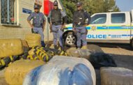 Weekend Operation Shanela II continues to tackle crime in Ekurhuleni District