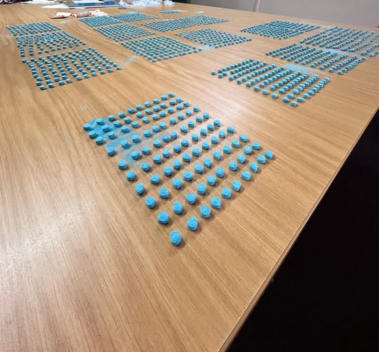 Kirstenhof Crime Prevention seizes R500 000 worth of drugs
