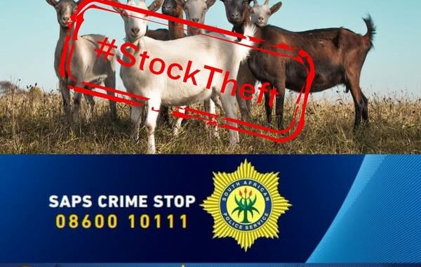 Investigation underway after livestock theft at Ga-Chuene