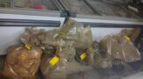 Police confiscate prohibited marine resources with an estimated street value of R 100 000,00 during integrated operation