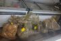 Police confiscate prohibited marine resources with an estimated street value of R 100 000,00 during integrated operation