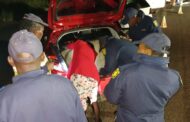 343 suspects arrested during a multidisciplinary operation in Tshwane