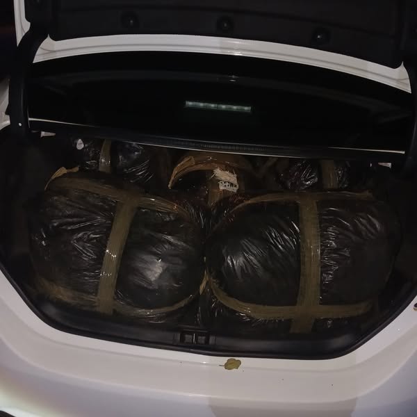 37-year-old man appears in court for possession of dagga worth R1.5 million in Nelspruit