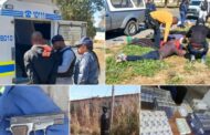 Vala Umgodi disrupts illegal mining in Free State and arrests suspects in targeted operations