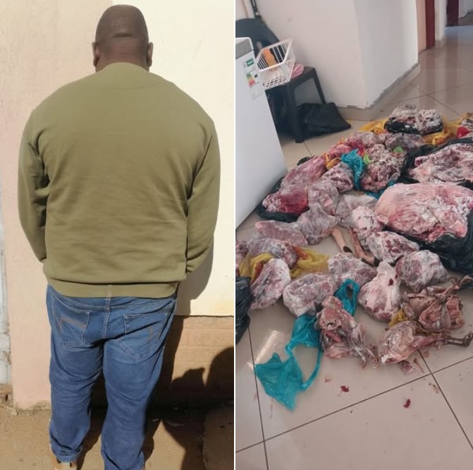 During operation Vala Umgodi, a male suspect was nabbed in possession of game meat