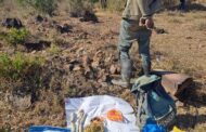 Eight illegal immigrants arrested during Operation Vala Umgodi
