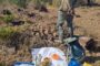 Eight illegal immigrants arrested during Operation Vala Umgodi