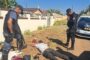 Suspect Apprehended in Palmview During Joint Crime Prevention Operation
