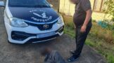 Suspect Apprehended on Long Island Avenue, Ottawa