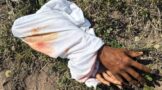 Medico Legal Mortuary Confirms Severed Hands Next to the Road To Be Props: Phoenix - KZN