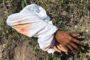 Medico Legal Mortuary Confirms Severed Hands Next to the Road To Be Props: Phoenix - KZN
