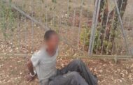 Driveway Gate Recovered and Suspect Apprehended in Tabley Close, Newlands East