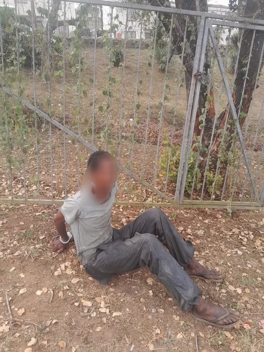 Driveway Gate Recovered and Suspect Apprehended in Tabley Close, Newlands East