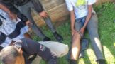 Two Pupils Injured as Brawl Breaks Out in Northdale