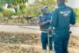 Injured Cow Causes Traffic Concern: R102 Ottawa - KZN