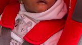 Car Seat 101 Online Workshop - Wheel Well