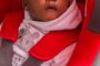 Car Seat 101 Online Workshop - Wheel Well