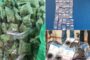 Drug arrest in the Pixley Ka Seme District
