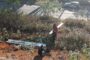 N3 Guardrail Theft Foiled in Chase Valley