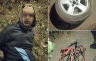 Theft Suspect Apprehended by KZNVIP Near Clayfield, Phoenix
