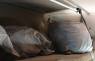 K9 Worcester arrests suspect with abalone worth R1.8 million