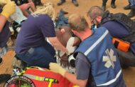 Victim treated after a severe neck injury following an assault Near N1 and Zambesi