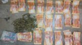 11 Illegal Immigrants to appear in court after their arrest during Operation Vala Umgodi
