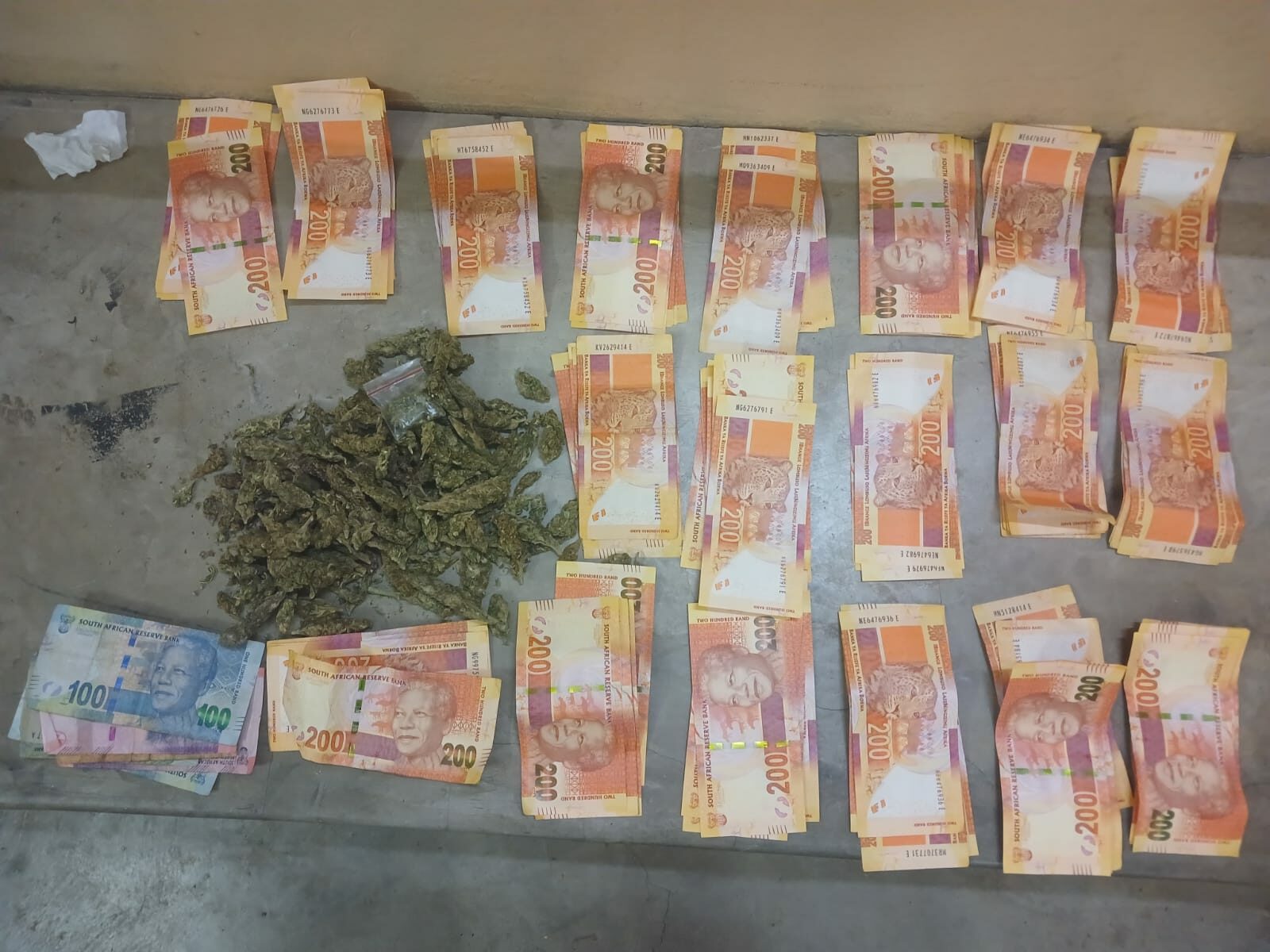 11 Illegal Immigrants to appear in court after their arrest during Operation Vala Umgodi