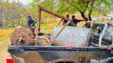 Suspect appehended with illegal mining equipment during Operation Vala Umgodi