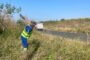 Massive Clean-Up on the KZN Mid-South Coast Is Creating an Investor-Friendly Environment