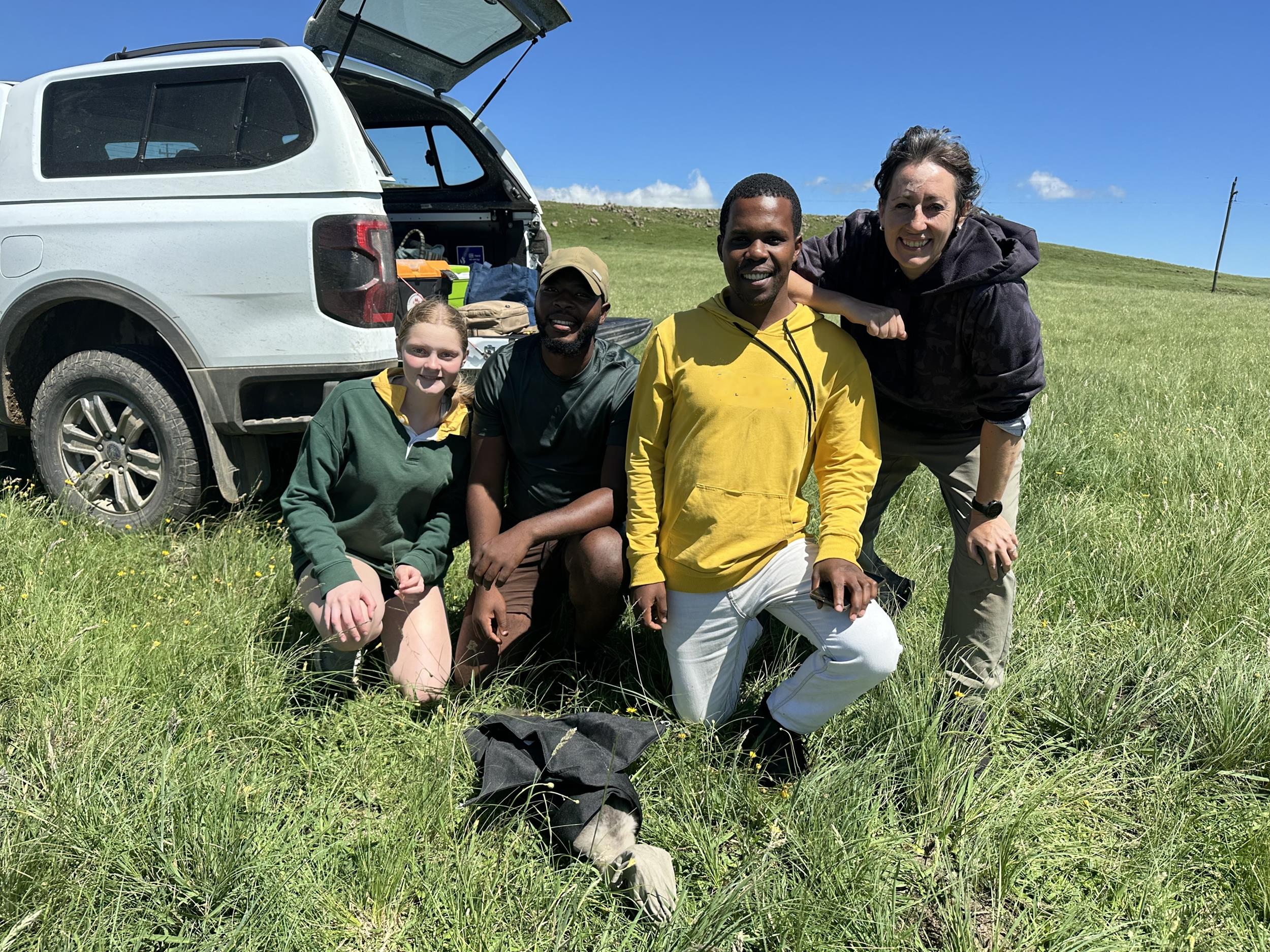 Ford Wildlife Foundation and EWT Rally to Protect South Africa's National Bird as Blue Crane Uplisted to 'Vulnerable