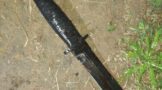 Man Stabbed To Death By Friend: Mhlasini - KZN