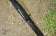 Man Stabbed To Death By Friend: Mhlasini - KZN