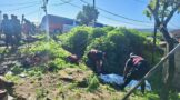 Man Found Fatally Stabbed In Pathway: Amaotana - KZN