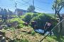 Man Found Fatally Stabbed In Pathway: Amaotana - KZN