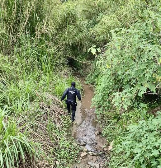 Search For Theft Suspect: Brindhaven - KZN