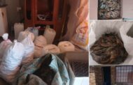 Weekly law enforcement operations lead to the arrest of more than 1 400 suspects