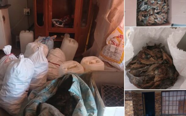 Weekly law enforcement operations lead to the arrest of more than 1 400 suspects