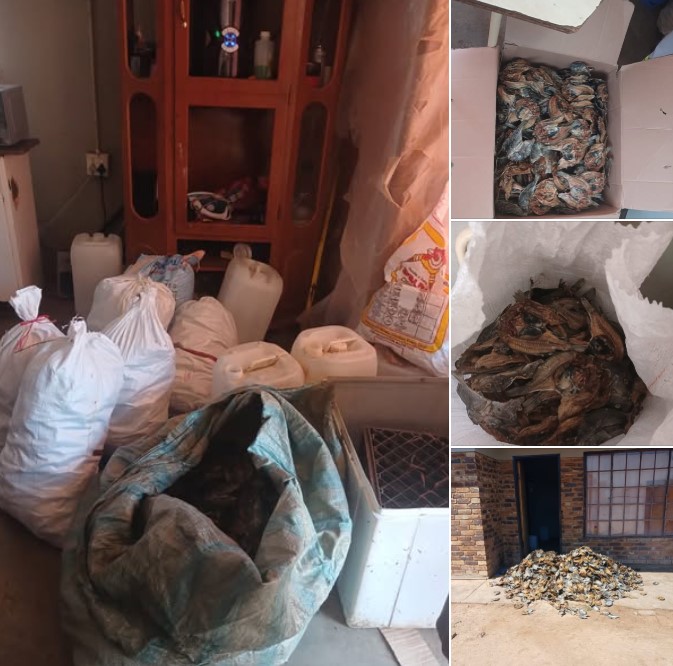 Weekly law enforcement operations lead to the arrest of more than 1 400 suspects