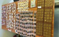 54-year-old woman arrested for dealing in drugs and the cultivation of dagga for the purposes of sales