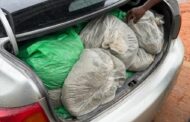 A 34-year-old suspect arrested for dealing in dagga worth R600 000 at Kaapmuiden