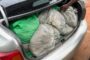 26 Arrested for drunk driving in Umhlanga Rocks
