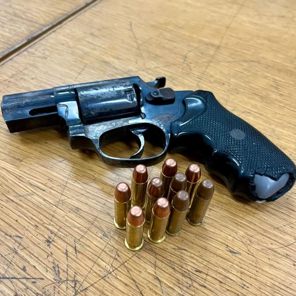 Anti-Gang Unit members pounce on Cape Town gangs