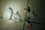 Sales Representative Robbed & Assaulted During Robbery: Cornubia - KZN