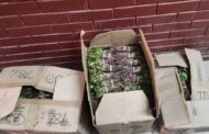 554 bundles of Khat confiscated on a passenger bus at Laingsburg in the Central Karoo