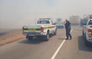 Vegetation fire in the Dana Bay Area